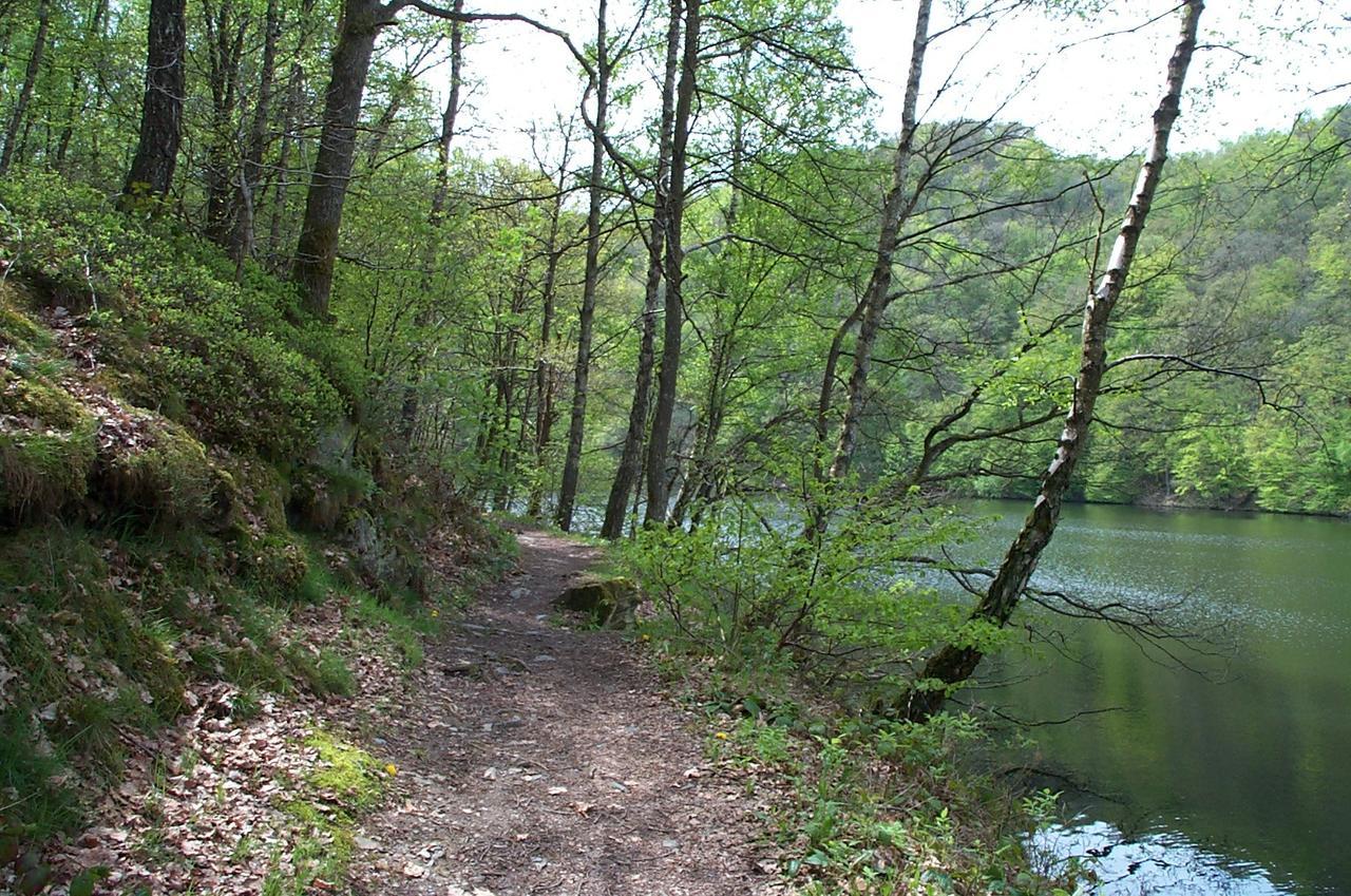 Holiday Home A Pas De Loup La-Roche-en-Ardenne Kültér fotó